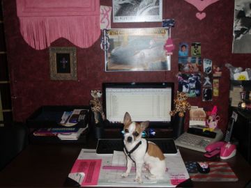 Junior has taken over my desk :)