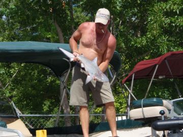 Mikes catch of the day - 3ft. Black Tip Shark!!!!